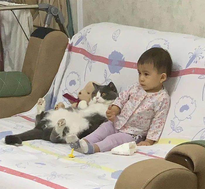 Tonight Is Their Cartoon Evening