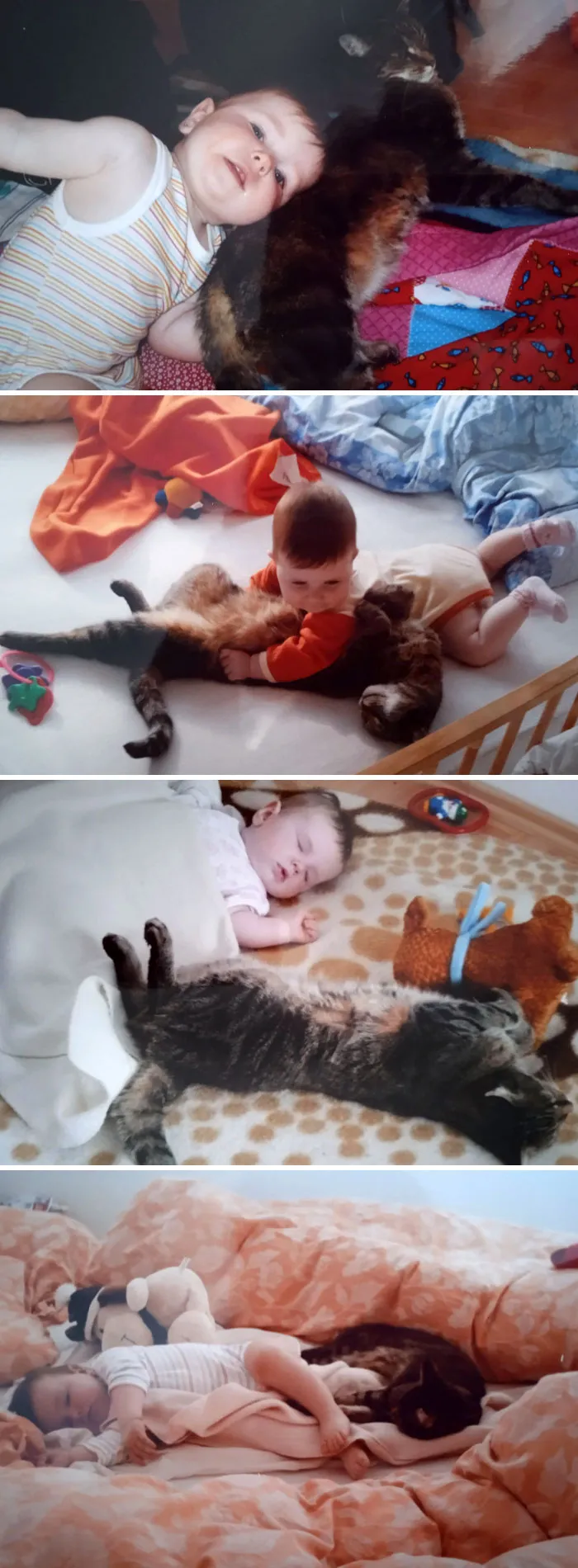14-Year-Old Photos Of My Four-Legged Babysitter Watching Me