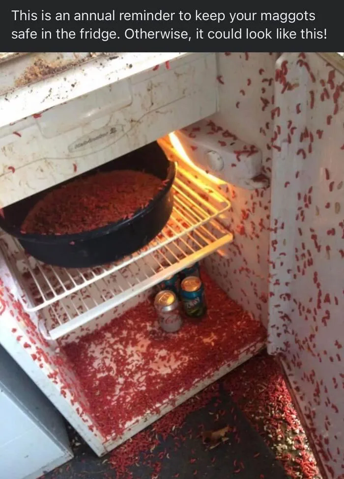 The "This Is Why I Don't Do Potlucks" Facebook Group Shares The Worst Dishes Someone Had The Audacity To Serve (40 New Pics)
