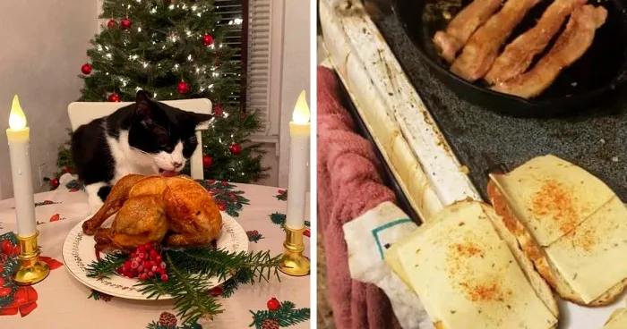 20 Personas tan asqueadas por estas comidas que tuvieron que compartirlas (nuevas fotos)