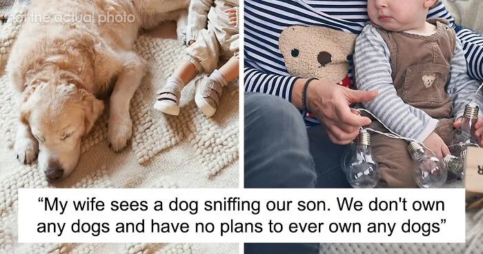 Babysitter Sneaks A Dog Into Her Clients’ Home Without Telling Them Beforehand, Gets Fired On The Spot