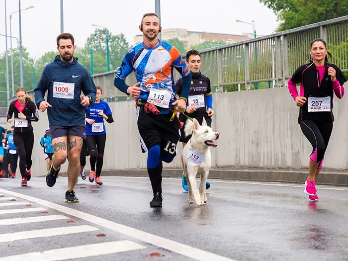 Person running with dog
