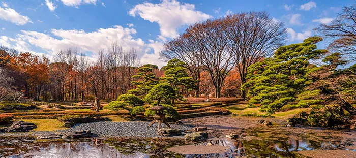 Picture of park with trees and rocks