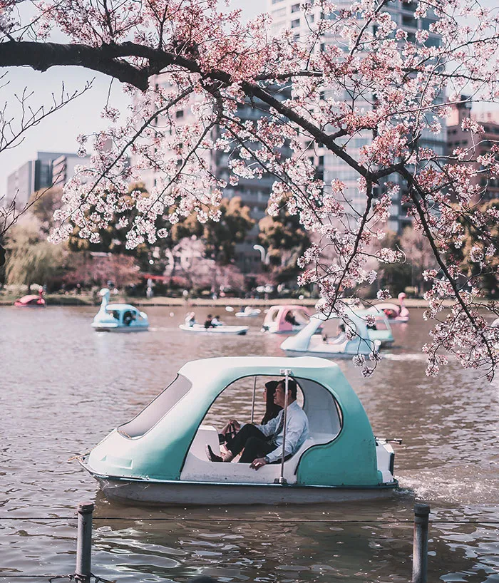 Tokyo Has A Large Number Of Parks And Green Spaces