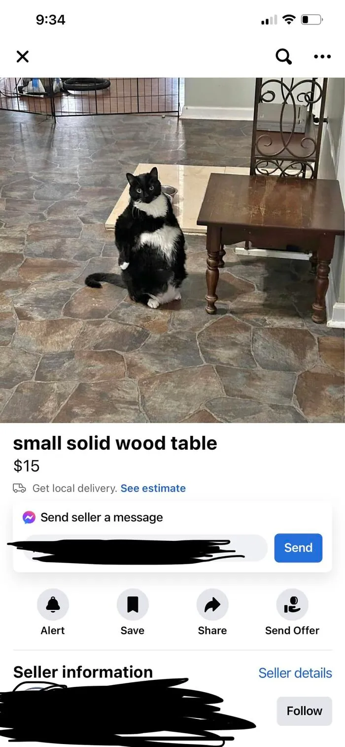 40 Gems From Facebook Marketplace That Prove Just How Much Garbage People Try To Sell You (New Pics)