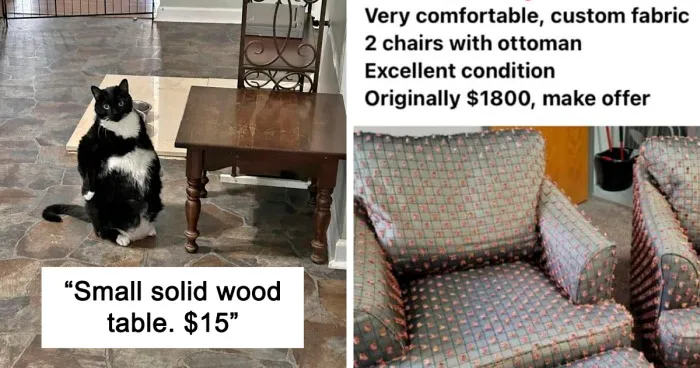 40 Gems From Facebook Marketplace That Prove Just How Much Garbage People Try To Sell You (New Pics)
