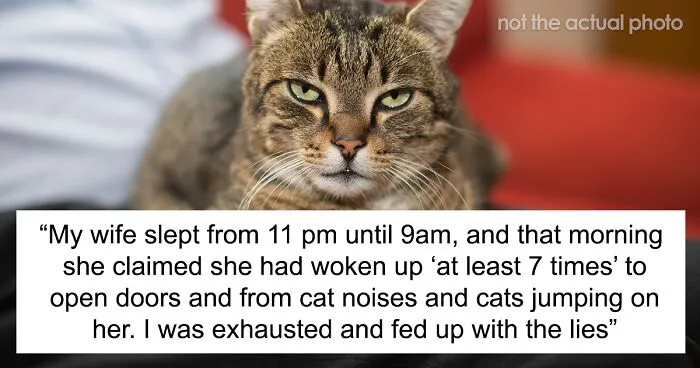 Wife’s Lie Surfaces When Husband Decides To Stay Up All Night And Check If His Cats Really Wake His Wife Up