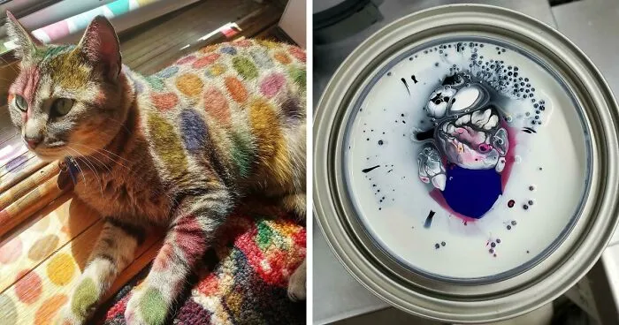 129 Times People Found Unexpected Art In The Most Random Things