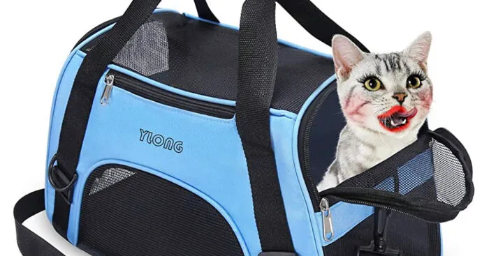 Hey Pandas, Share The Funniest Photoshop Fails On Amazon (Closed)