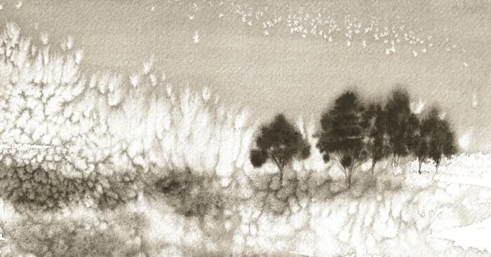 I Create Paintings With Charcoal And Salt And The Result Is Whimsical (18 Pics)