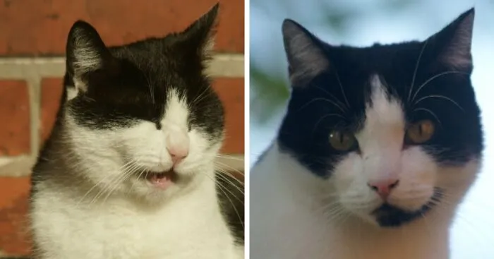 Hey Pandas, Post A Picture That Sums Up Your Pet's Personality (Closed)