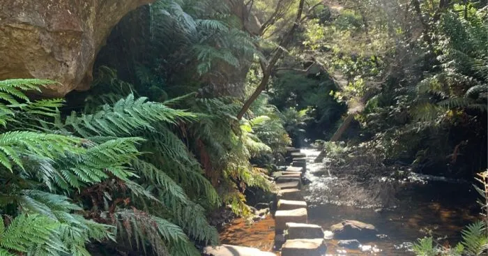 Hey Pandas, Post Your Favorite Scenic Picture You’ve Taken