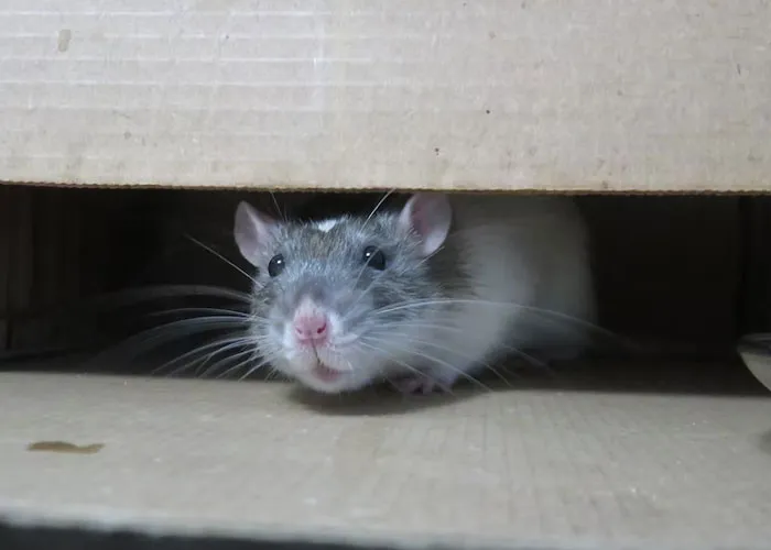 30 People Share Useful Tips And Things To Check Before Moving Into Your First Apartment