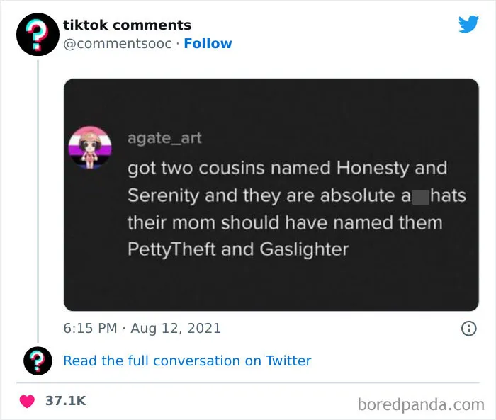 50 Weird, Funny, And Totally Unhinged TikTok Comments That Made Their Way To This Twitter Page