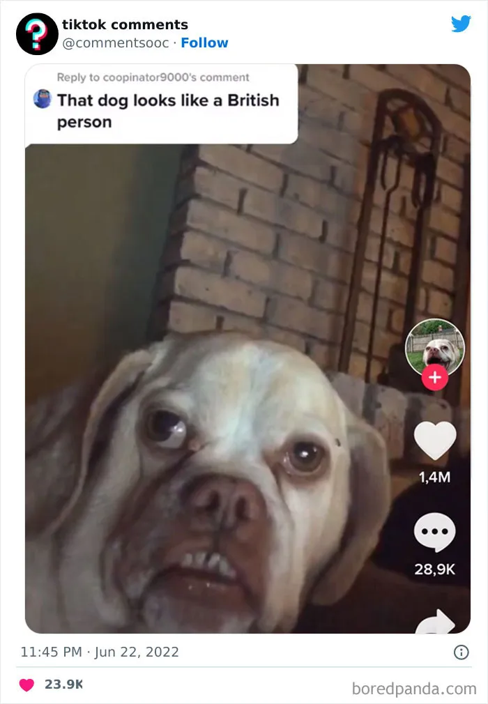 50 Weird, Funny, And Totally Unhinged TikTok Comments That Made Their Way To This Twitter Page