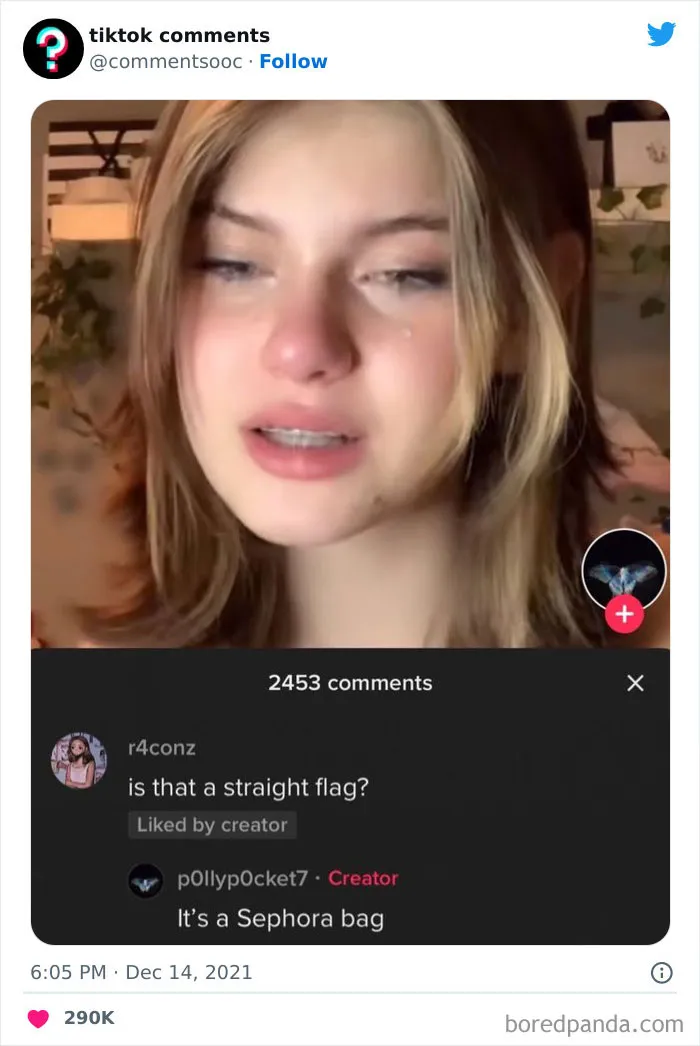 50 Weird, Funny, And Totally Unhinged TikTok Comments That Made Their Way To This Twitter Page