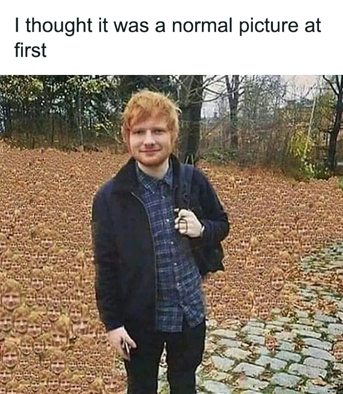 This Facebook Page Is All About 'Awkward Memes,' And Here Are 35 Of The Most Randomly Hilarious Ones
