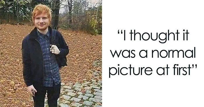 This Facebook Page Is All About 'Awkward Memes,' And Here Are 35 Of The Most Randomly Hilarious Ones