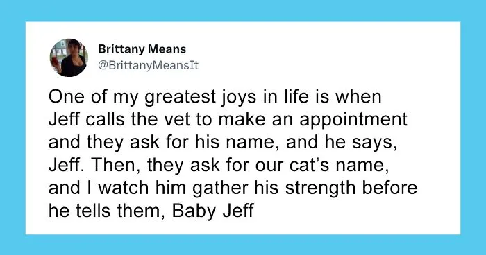 50 Hilarious Cat Names That Crack Vets Up Every Time