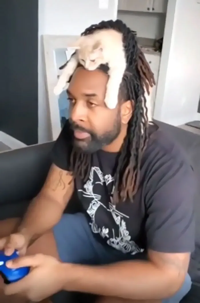 Cat In Hair