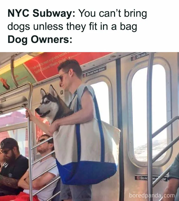Man carrying a large dog in a bag on the subway, humorously relatable to dog owners.