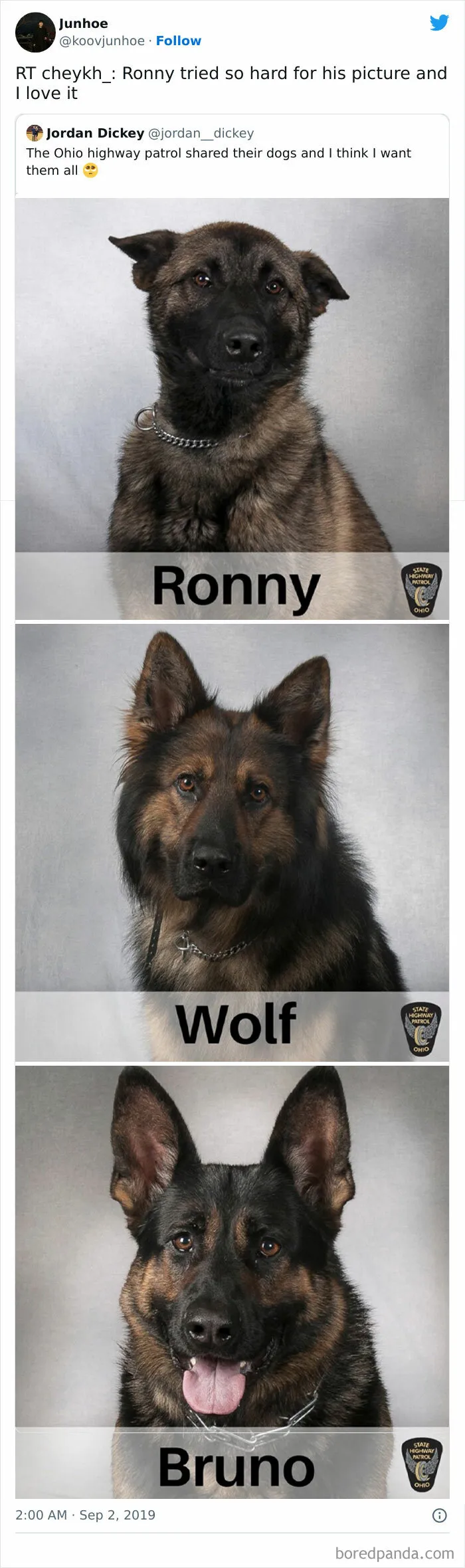 Ohio patrol dogs Ronny, Wolf, and Bruno pose humorously for photos, relatable for dog owners.