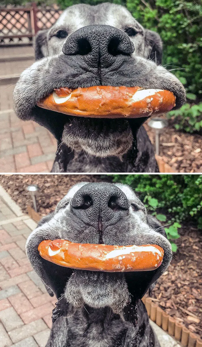 Me: Eats Snack While Also Looking For Another Snack