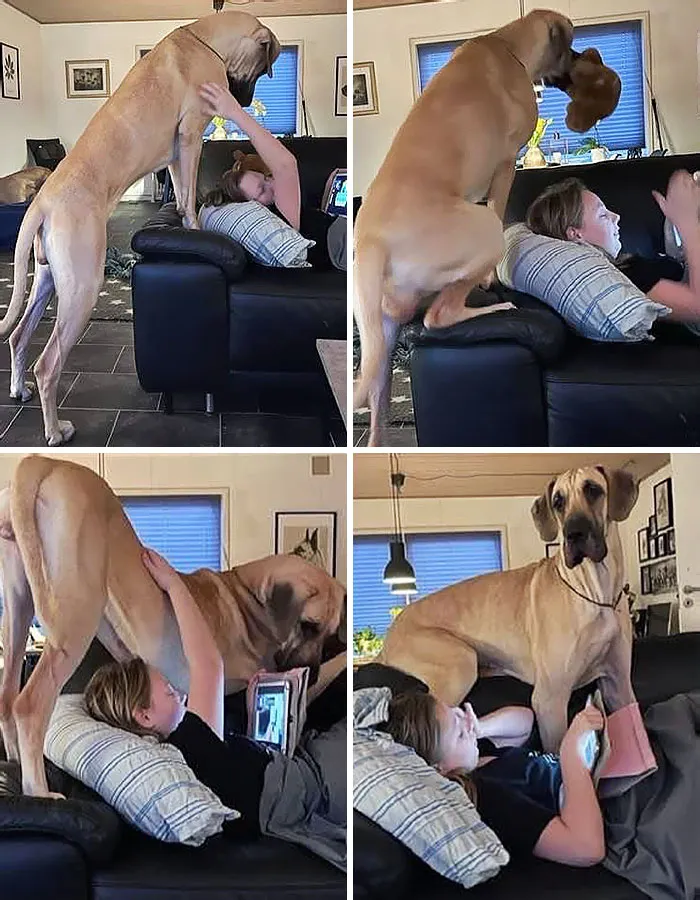 I Will Just Scooch In Right Here