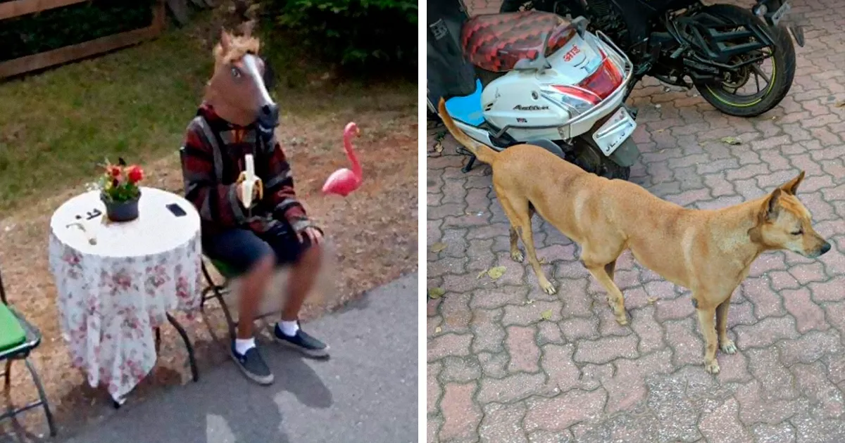 40 Curiosidades divertidas que la gente encontró en Google Maps