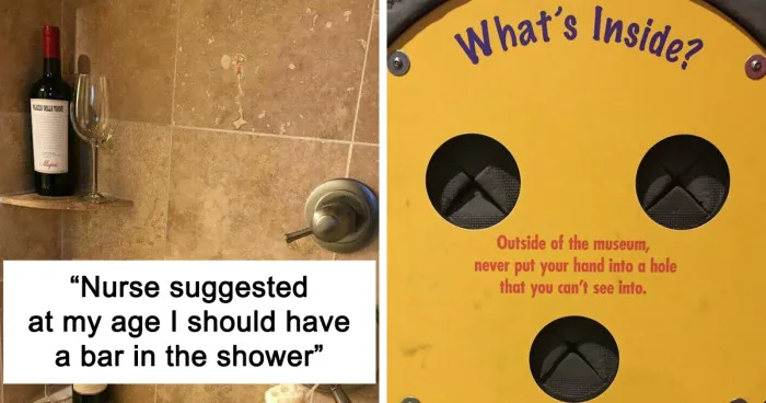 50 Funny Yet Helpful Pieces Of Advice That Might Become A Guiding Light For Any Tricky Situation