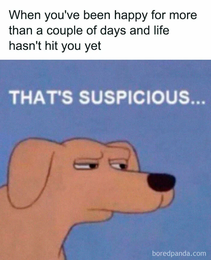 Well, that escalated quickly