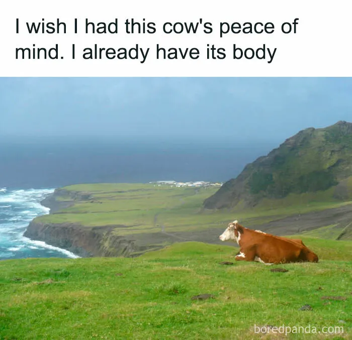 Wait, that actually makes sense