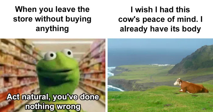 35 Memes To Send To Your Introvert Friends, As Shared On This Instagram Page