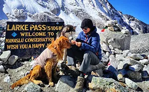 See How I Spent 18 Days Hiking Through Manaslu Circuit Together With My Dogs