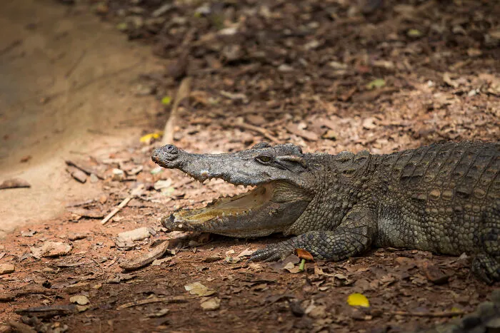 40 People Share Horrifying Facts That Shouldn’t Be True, But Are