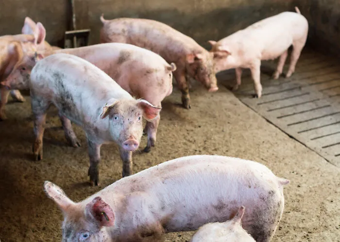 40 People Share Horrifying Facts That Shouldn’t Be True, But Are