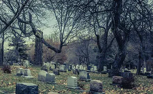 40 People Share Horrifying Facts That Shouldn’t Be True, But Are
