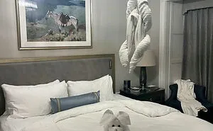 40 Times Hotel And Airbnb Guests Were So Surprised By Their Hosts' Fails That They Took A Picture (New Pics)