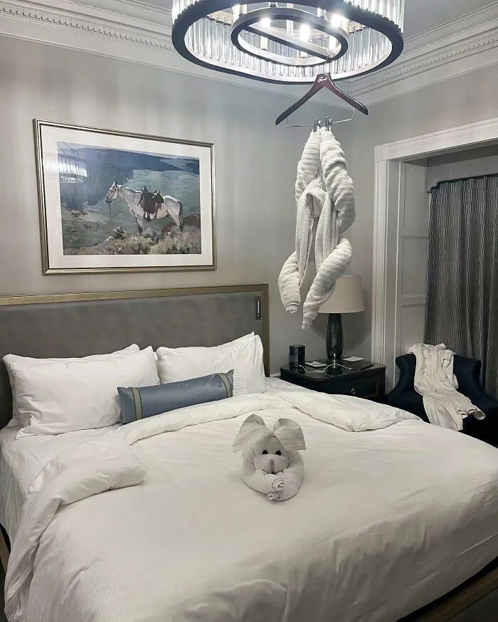 I Came Back To A Pitch-Black Hotel Room, Then Turned On The Lights And Saw This
