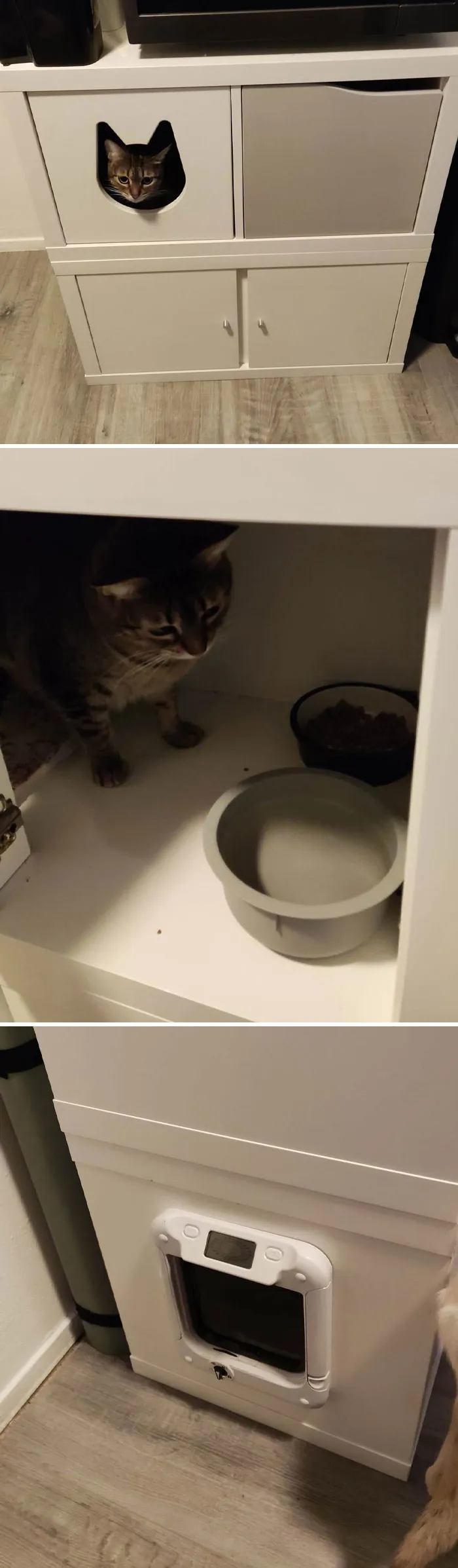 This Is My IKEA "Hack". It's A Restaurant And Toilet For My Cat
