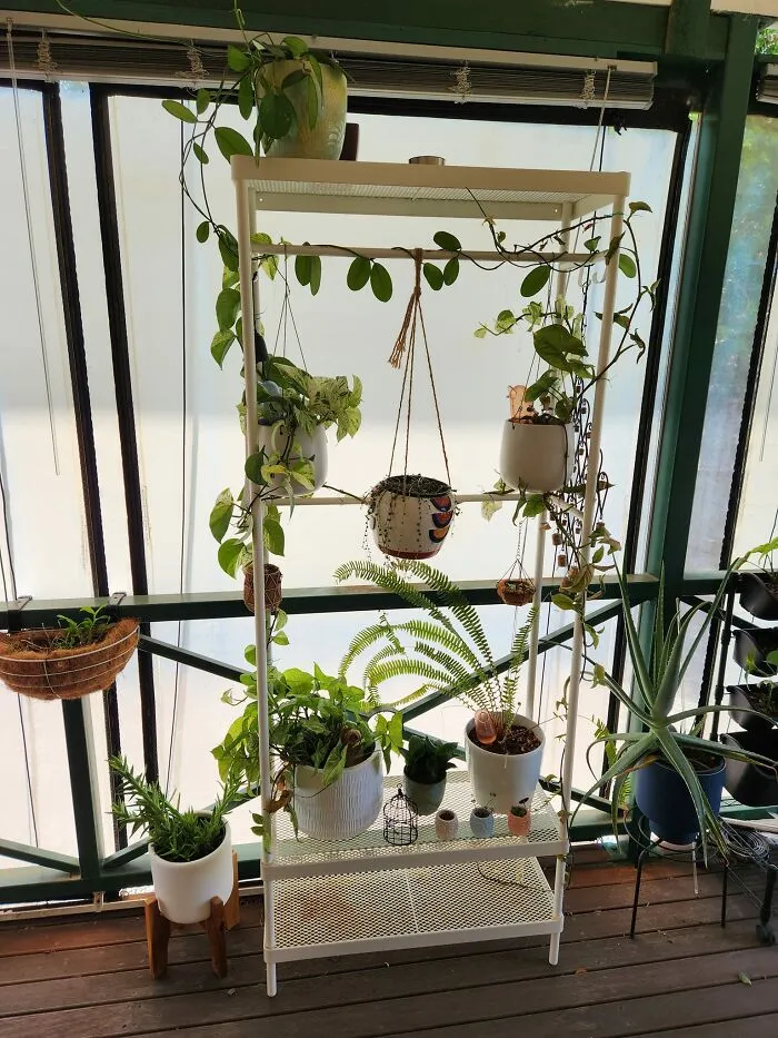 I Used The IKEA Mackapar On My Closed In Veranda For My Climbing Pots Plants. I Think It's Come Up Really Nice