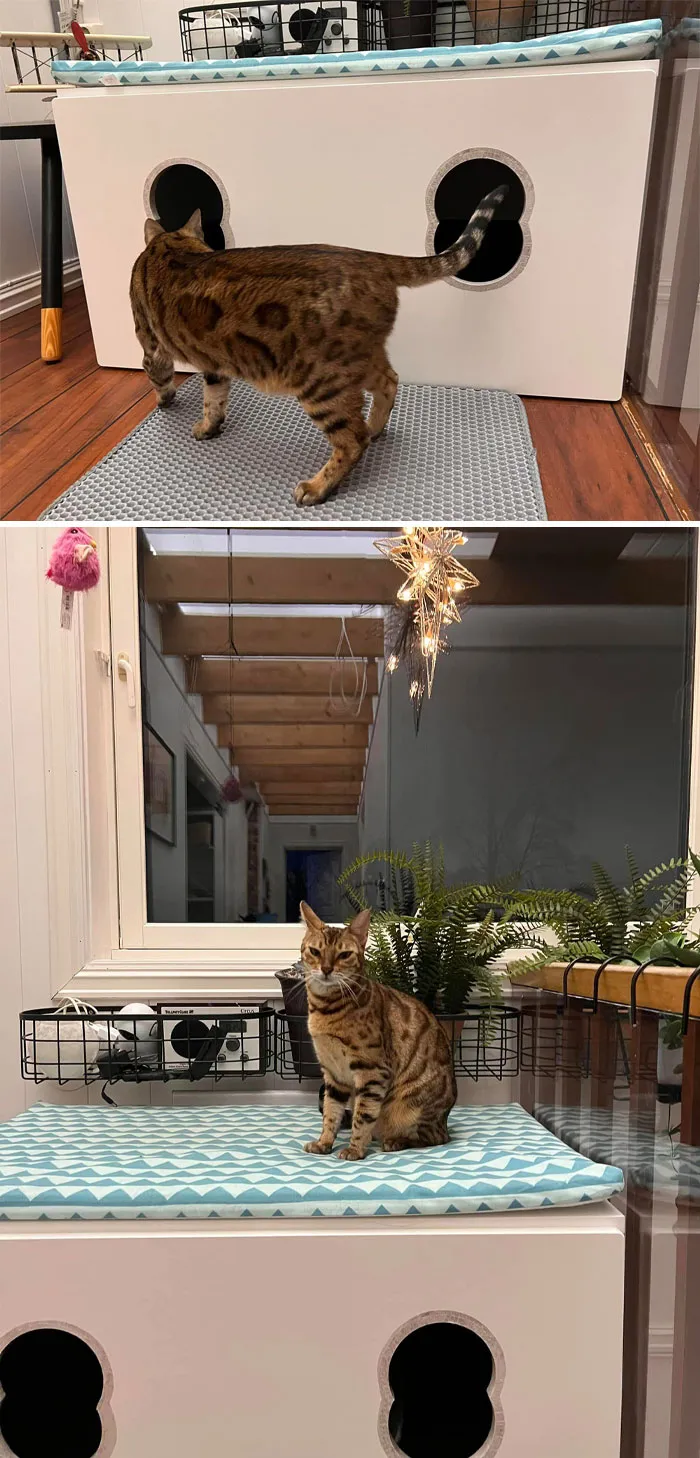 Upcycled An IKEA Toy Box, Aka Småstad, Into A Deluxe Litterbox