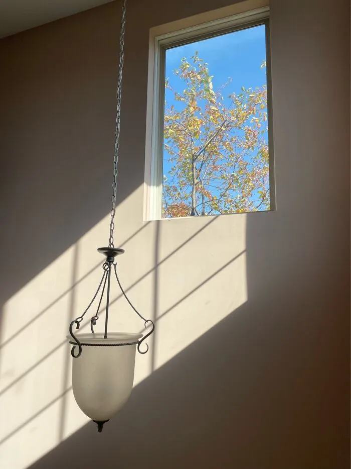 Just A Window In My House