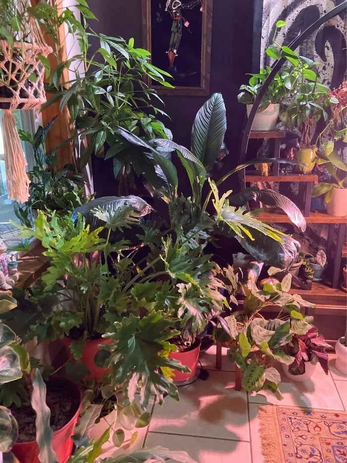 Just One Corner
