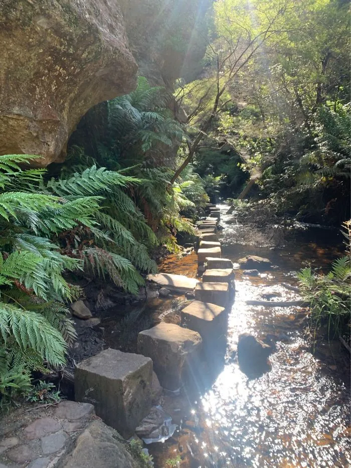 Blue Mountains Nsw Australia