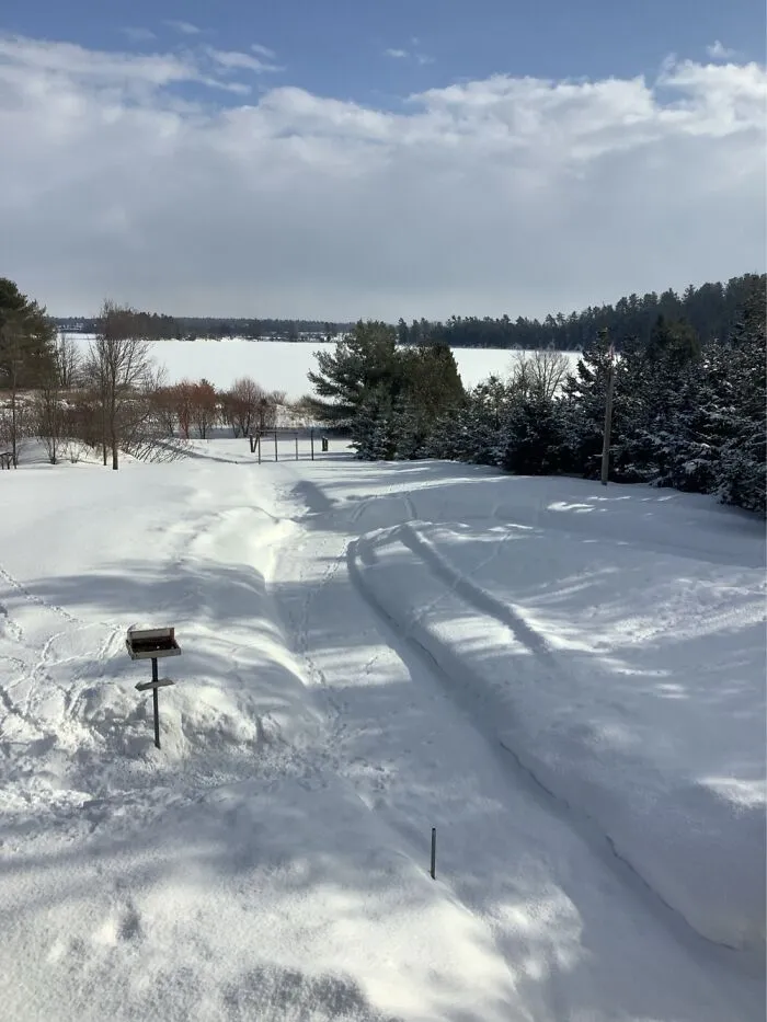 0 Celsius, 5cm Fresh Snow, Ottawa Valley, Canada