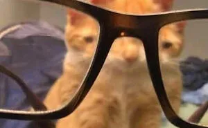 This Facebook Page Shares Random Pics That Are Hard To Explain, Here Are 50 Of The Funniest Ones