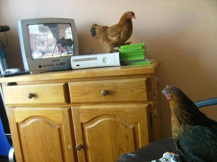 Images-With-No-Context