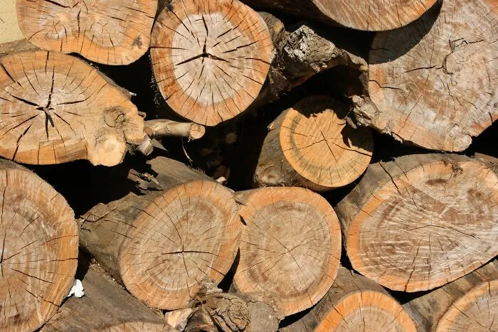 "Many Of One": I Photographed Multiple Of The Same Thing (26 Pics)