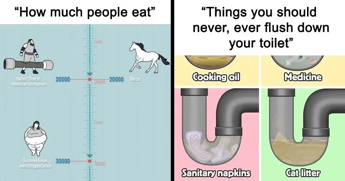 40 Interesting Infographics That Might Change Your Perspective On Things, As Shared On This Online Group